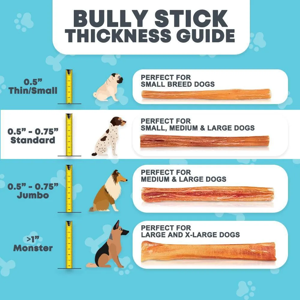 12" Standard Bully Sticks for Large & Extra Large Dogs