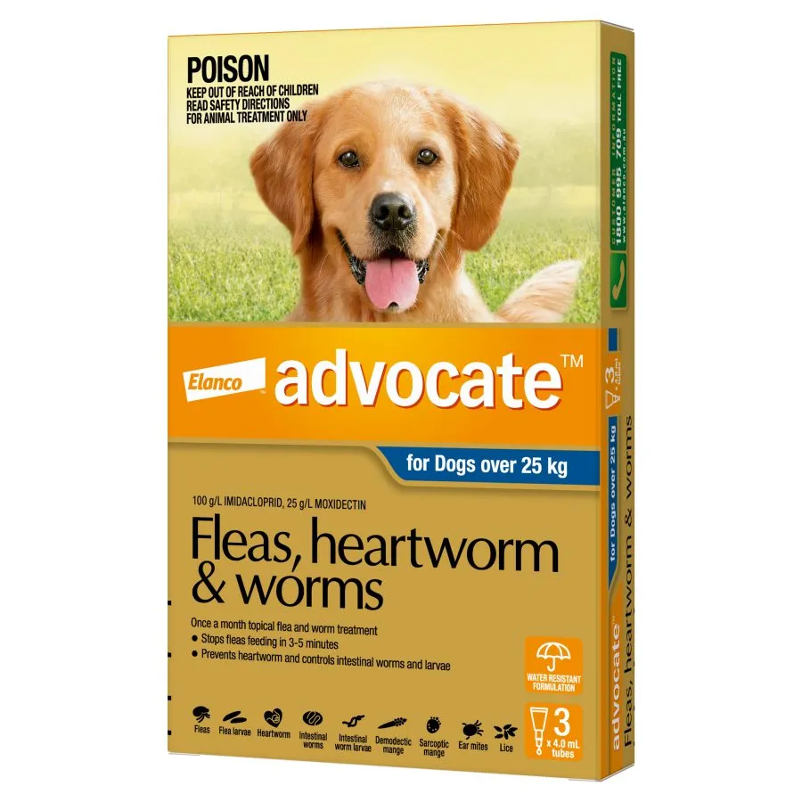 Advocate Dog Extra Large Grey