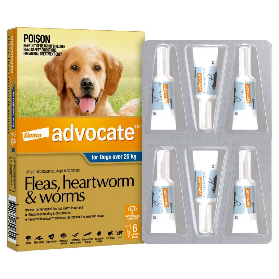 Advocate Dog Extra Large Grey