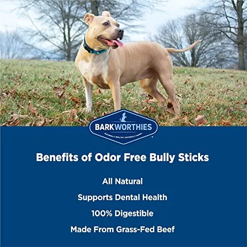 Barkworthies Odor Free 6 Inch Bully Sticks Healthy Dog Chews Promotes Dental Health