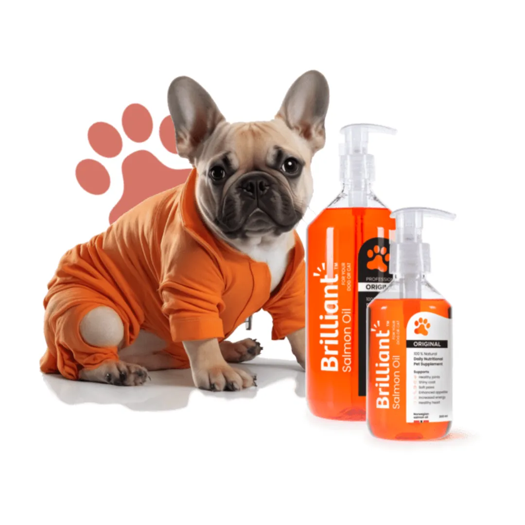 Brilliant Salmon Oil for Dogs