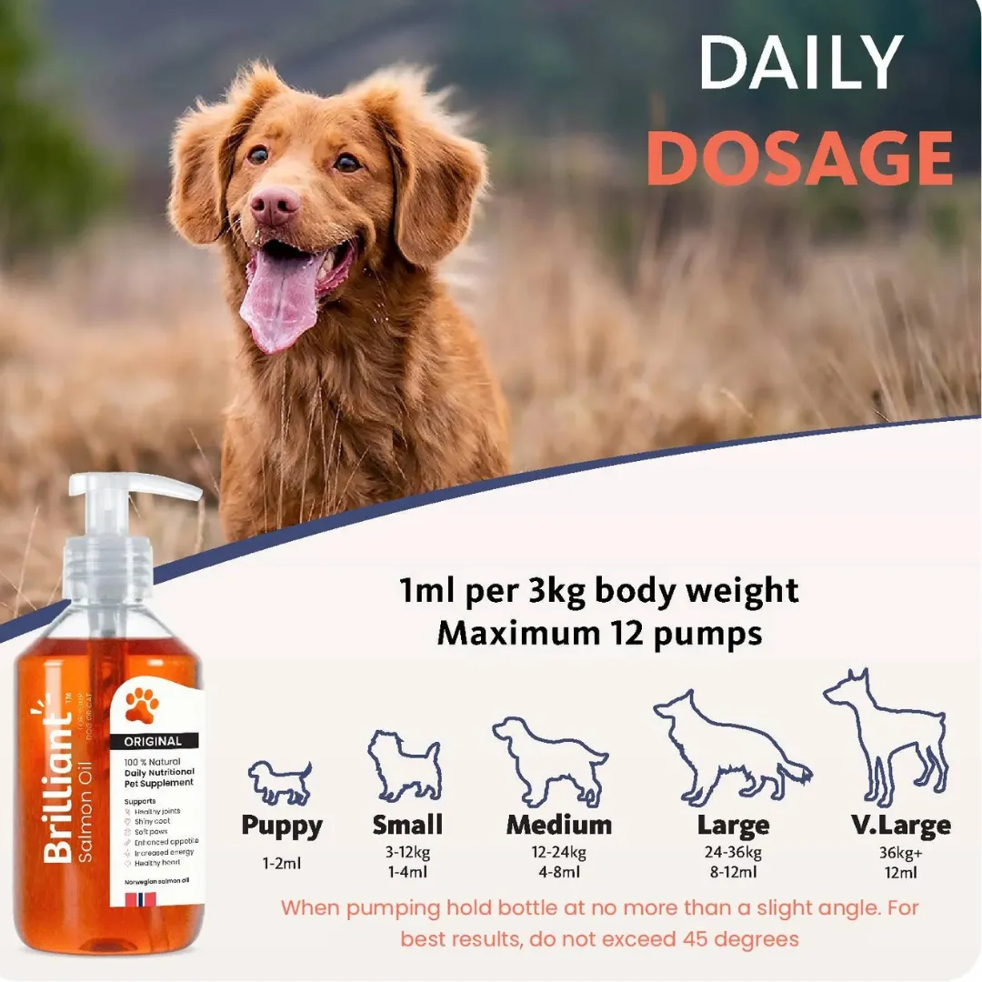 Brilliant Salmon Oil for Dogs