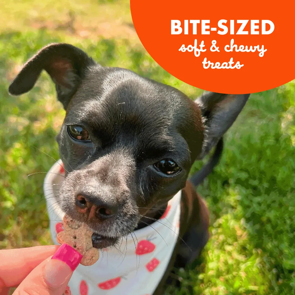 Buddy Biscuits Softies Soft and Chewy Peanut Butter Dog Treats