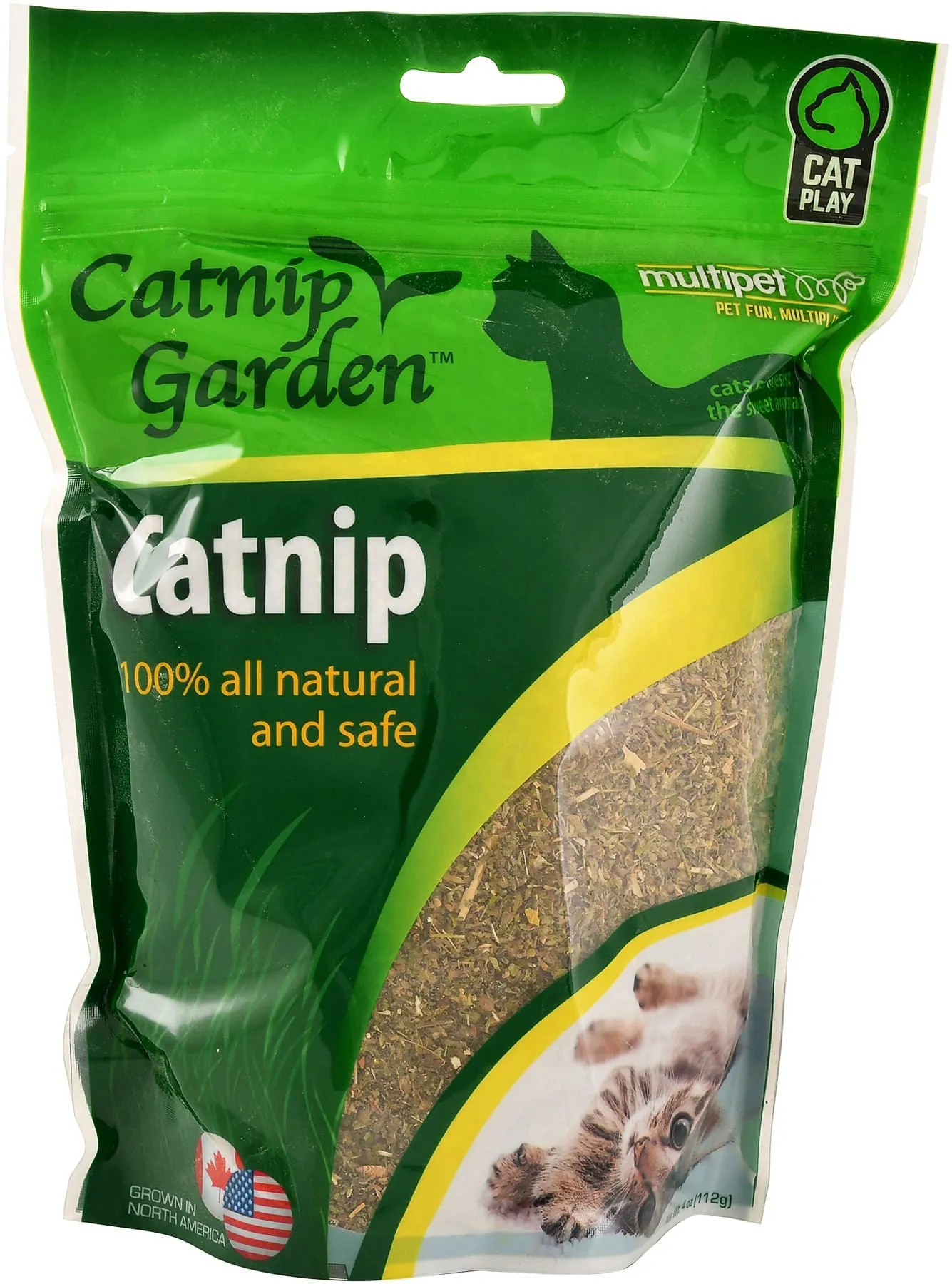 Catnip Garden Catnip