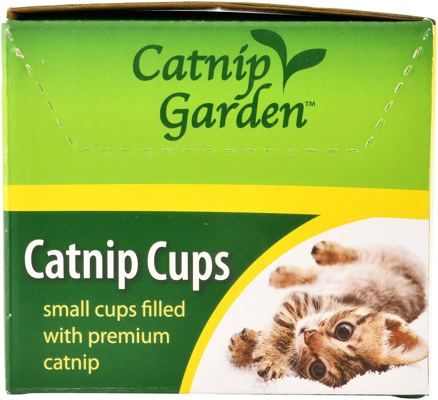 Catnip Garden Catnip