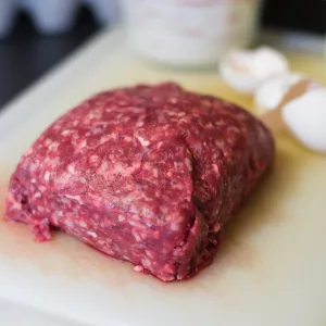 Ground Bison Meat for Dogs