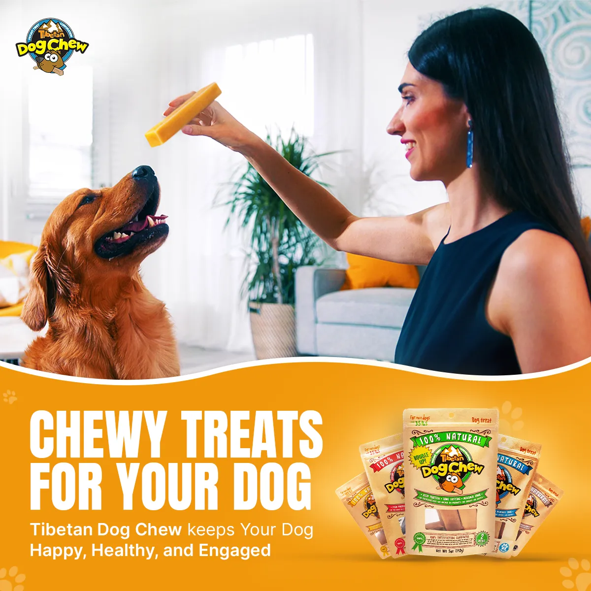 Large Dog Starter Pack - 3 Sticks Long Lasting Yak Cheese Chew