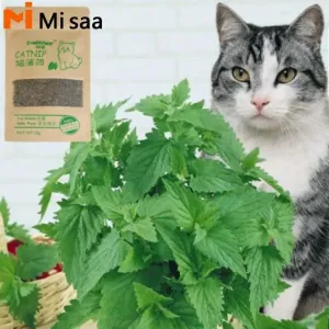 Organic Natural Catnip Health Boost Toy