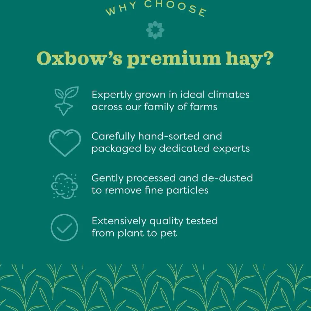 Oxbow Animal Health Hay Blends Western Timothy & Orchard Grass Hay