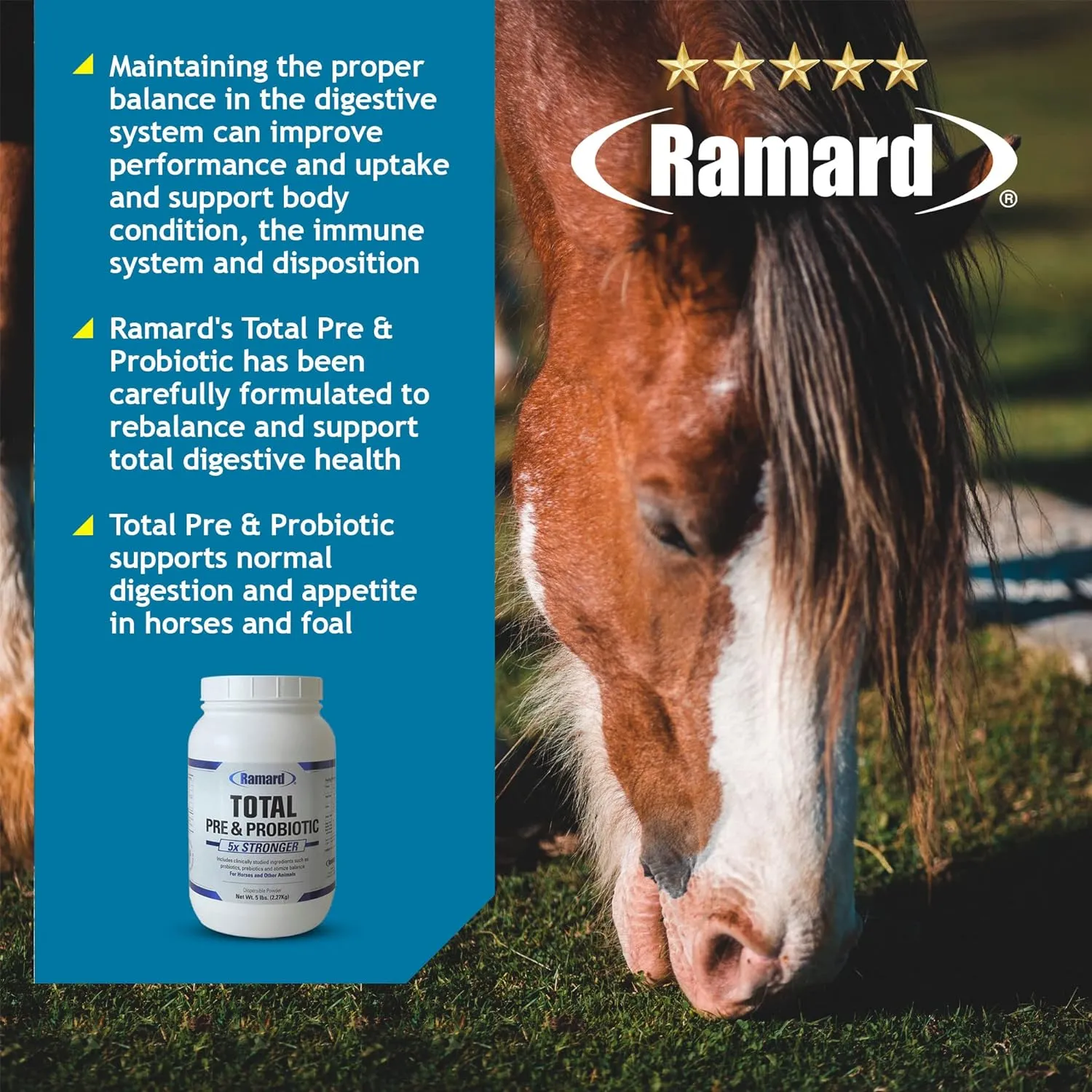 Ramard Total Pre & Probiotics Powder For Horses (8.5 oz)