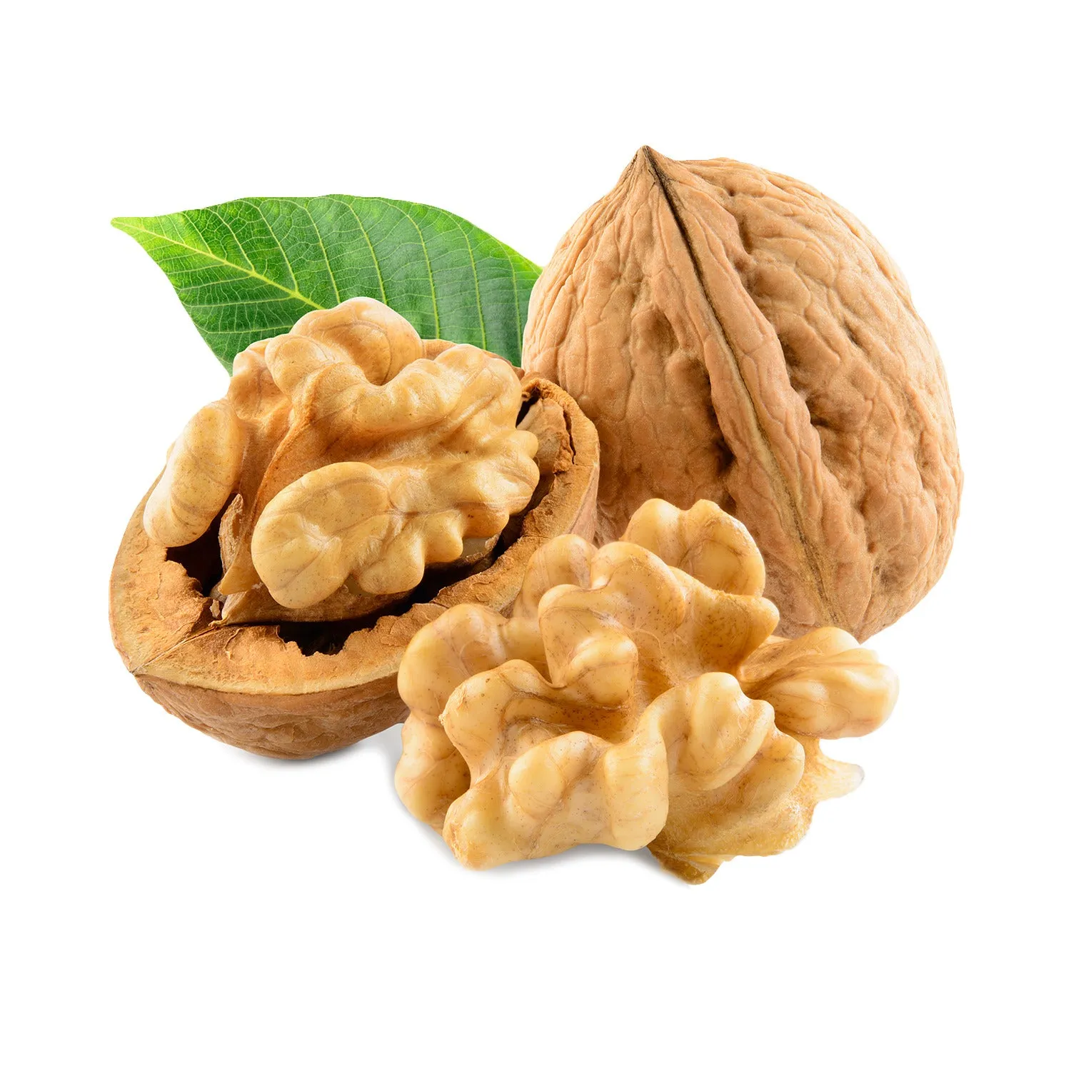 Raw Walnuts