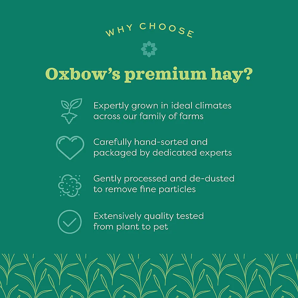 Western Oxbow Timothy Hay Various Sizes  REWARDS PROGRAM BUY 6 GET 1 FREE